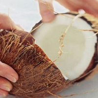 क्यों वर्जित है स्त्रियों को नारियल फोड़ना?  (Why aren't Women Allowed to Break Coconuts)